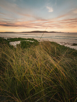 View of Middleton Beach with coastal grasses in the foreground, calm ocean waves, and a soft sunset sky over the horizon in Middleton Beach, Western Australia, Australia.