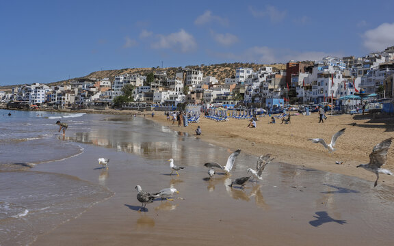 View of seagulls on the sandy beach with people relaxing and white buildings in the background in Taghazout, Souss-Massa, Morocco.