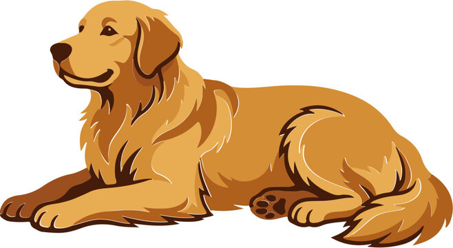 dog Golden Retriever