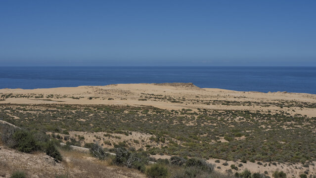 View of the Mirador playa y acantilados de Tamri featuring sandy dunes, coastal vegetation, and the Atlantic Ocean under a clear blue sky in Tamri, Souss-Massa, Morocco.