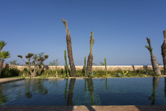 View of a serene swimming pool with dark green tiles surrounded by palm trees, various cacti, and a stone wall under a clear blue sky in Essaouira, Marrakesh-Safi, Morocco.