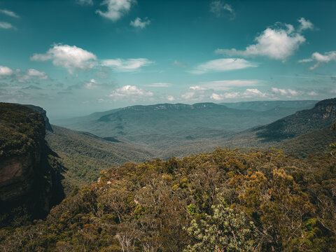 View of the vast Blue Mountains landscape featuring rugged cliffs, dense eucalypt forests, and rolling valleys under a bright blue sky in The Blue Mountains, New South Wales, Australia.
