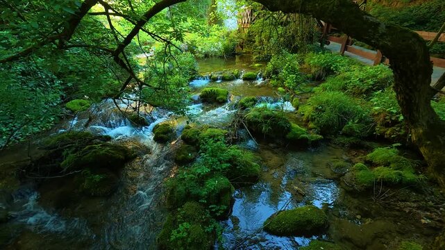 Wooden bridge overlooks gentle stream. Veliki Buk, Serbia.