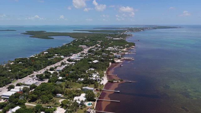 Aerial view of the coastal landscape of Islamorada featuring turquoise waters, long wooden piers, and lush tropical vegetation along the shoreline in Islamorada, Florida, United States.