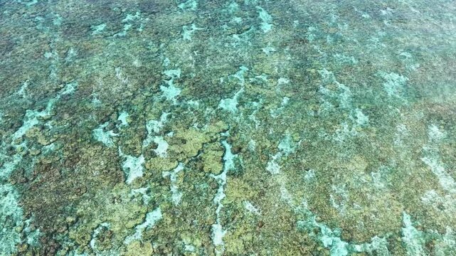 Aerial view of vibrant coral reef formations beneath shallow turquoise water surrounding Vaikaramuraidhoo, Haa Dhaalu Atoll, Maldives.