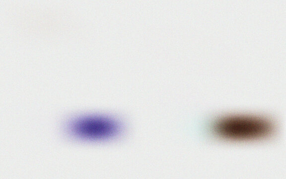 p Minimalist abstract background with soft blurred spots, clean white texture with purple and brown out of focus elements, simple modern design template