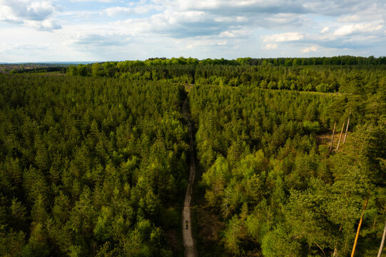 Aerial view of Cannock Chase Forest with a path through dense green trees and a person walking along the trail under a cloudy blue sky in Staffordshire, England, United Kingdom.