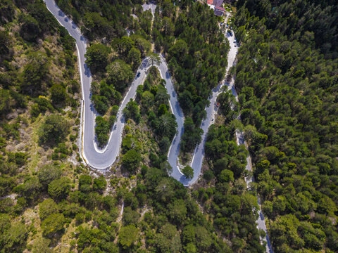 Aerial view of the winding serpentine road of Llogara Pass surrounded by dense green pine forests in Himare, Vlore County, Albania.