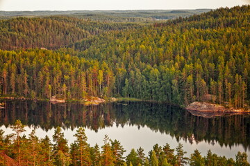 Kouvola, Finland - 15.08.2020: Dense pine forest surrounding a calm lake with perfect mirror reflections of green treetops under soft light © Andrei