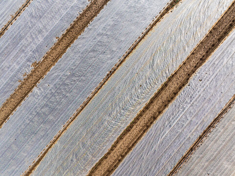 Aerial view of agricultural fields with rows of plastic mulch covering crops in Rhineland-Palatinate, Germany.