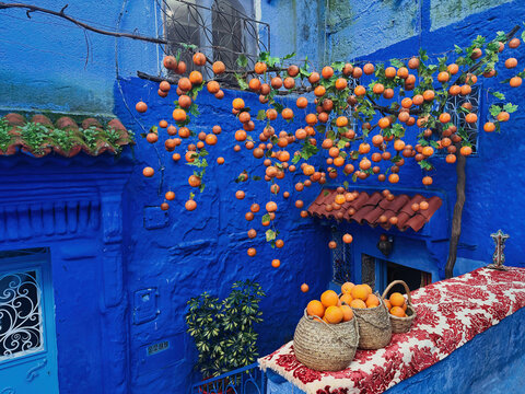 View of the iconic blue-painted walls of Chefchaouen, adorned with hanging oranges and baskets of fresh fruit in a vibrant street scene in Chefchaouen, Tangier-Tetouan-Al Ho, Morocco.