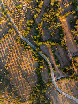 Aerial view of a winding road cutting through olive groves with long shadows cast by the setting sun in Kos, Greece.