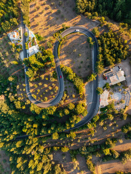 Aerial view of a winding asphalt road surrounded by lush greenery and olive trees under the warm light of the golden hour in Kos, Greece.
