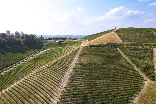 Aerial view of the Ceretto vineyards in the rolling hills of the Langhe region, featuring lush green vine rows and a modern winery building in Alba, Piemonte, Italy.