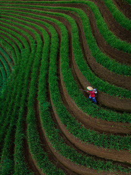 Argapura, Indonesia - 22 December 2022: Aerial view of terraced onion fields with a farmer wearing a traditional hat working in the lush green landscape.