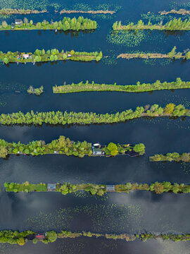 Aerial view of narrow green islands and small holiday cabins surrounded by dark water and lily pads in the polder landscape of Breukeleveen, North Holland, Netherlands.