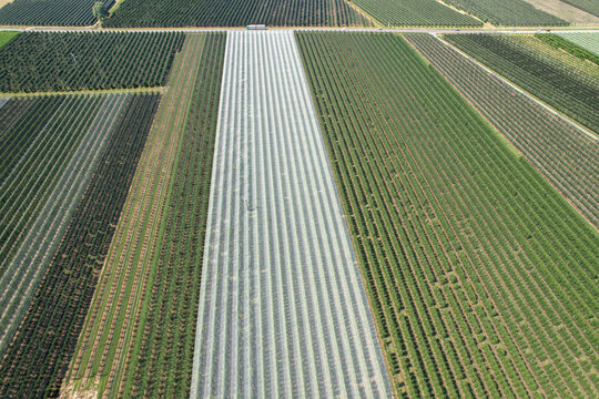 Aerial view of apple orchards protected by anti-hail netting in Saluzzo, Piedmont, Italy.