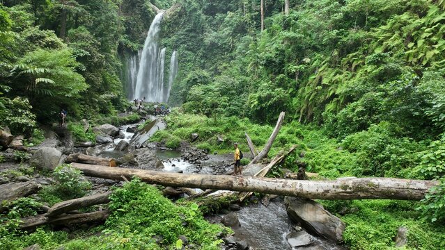 Kecamatan Bayan, Indonesia - 28 December 2023: Aerial view of Sendang Gile Waterfall surrounded by lush tropical rainforest, with a person crossing a stream on a fallen log.
