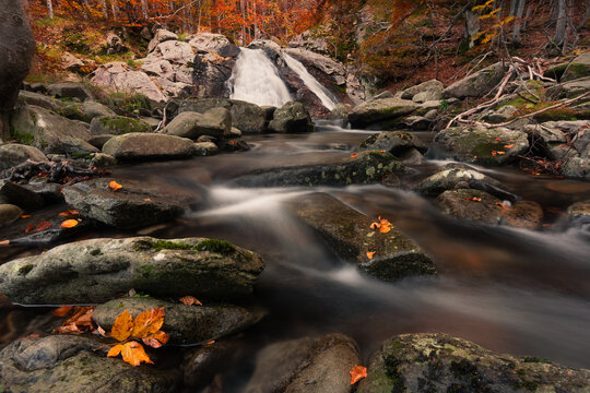View of the Lagoni waterfall cascading over rocks into a stream surrounded by colorful autumn foliage in the forest in Corniglio, Emilia-Romagna, Italy.