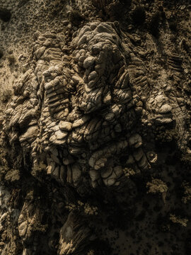 Aerial view of rugged desert rock formations with textured surfaces and sparse vegetation in the arid landscape of Nevada, United States.