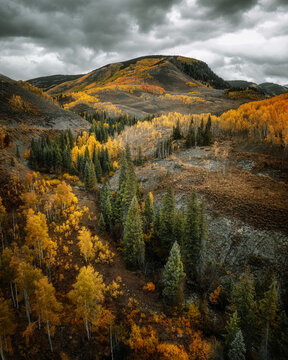 Aerial view of the Million Dollar Highway surrounded by vibrant autumn aspen trees and rugged mountain terrain under a dramatic cloudy sky in Ouray, Colorado, United States.