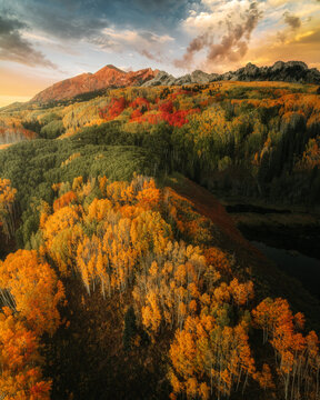 Aerial view of the Million Dollar Highway surrounded by vibrant autumn aspen trees and rugged mountains under a dramatic sunset sky in Ouray, Colorado, United States.