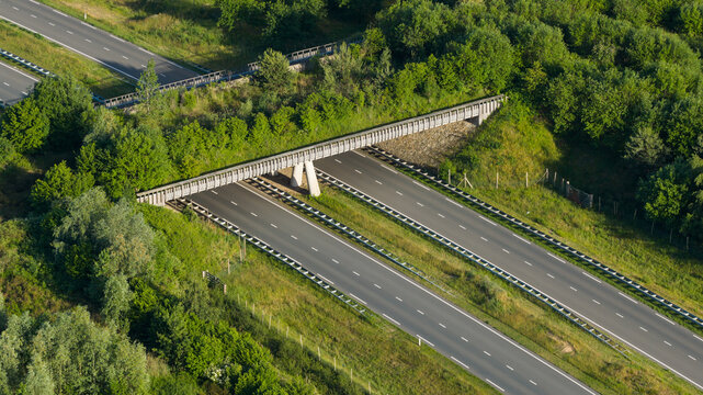 Aerial view of a wildlife crossing bridge spanning over a multi-lane highway, surrounded by lush green forest and vegetation in Venlo, Limburg, Netherlands.
