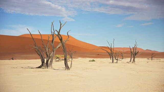 View of Sossusvlei with dead trees and sand dunes, Namibia.