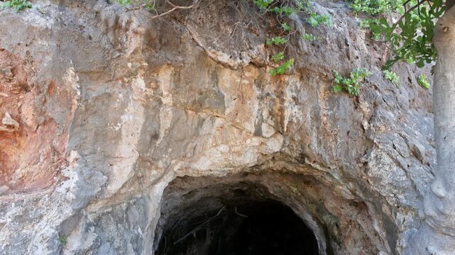 Close-up view of cave entrance in rocky mountain with overhanging tree branches. Crete. Greece.