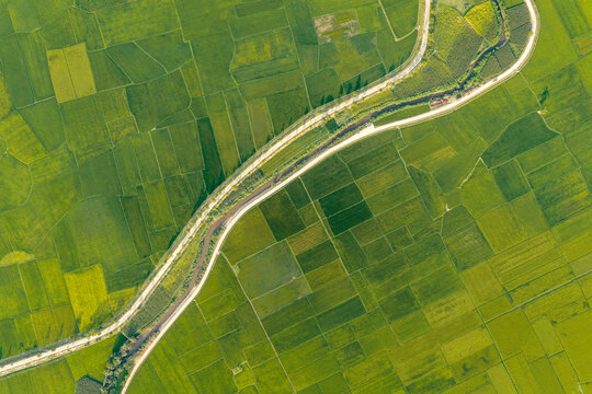 Aerial view of the lush green rice paddies surrounding Lak Lake, featuring a winding river cutting through the agricultural landscape in Lien Son, Dak Lak, Vietnam.