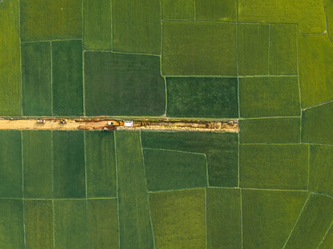 Aerial view of vibrant green rice fields divided by a narrow dirt road with construction machinery working in Lien Son Lak, Dak Lak, Vietnam.