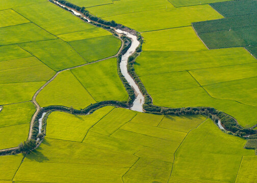 Aerial view of Lak Lake surrounded by vibrant green rice paddies and a winding river in Lien Son Lak, Dak Lak, Vietnam.
