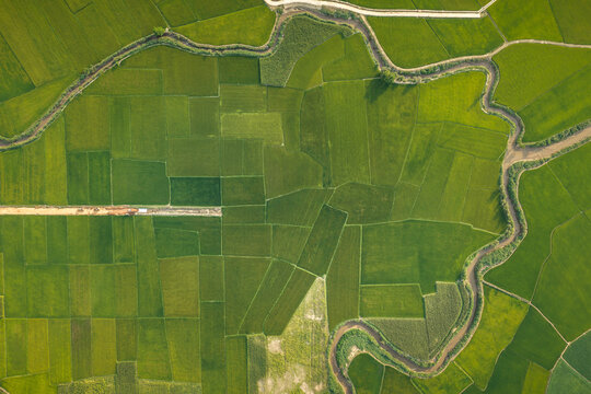 Aerial view of the lush green rice paddies surrounding Lak Lake, featuring a winding river and geometric agricultural fields in Lien Son Lak, Dak Lak, Vietnam.