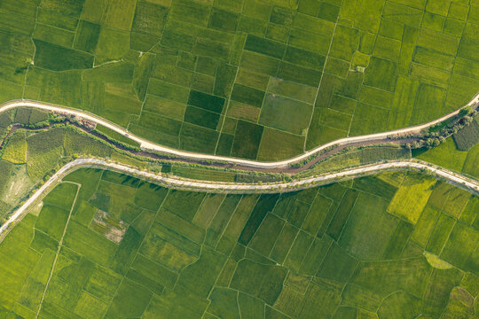 Aerial view of vibrant green rice paddies surrounding Lak Lake with a winding road and river cutting through the landscape in Lien Son Lak, Dak Lak, Vietnam.