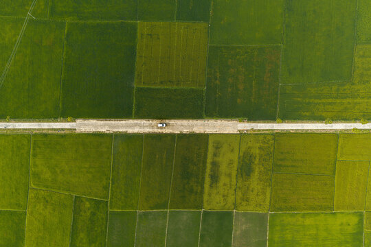 Aerial view of a single car driving along a narrow road that cuts through vibrant green rice paddies near Lak Lake in Lien Son Lak, Dak Lak, Vietnam.