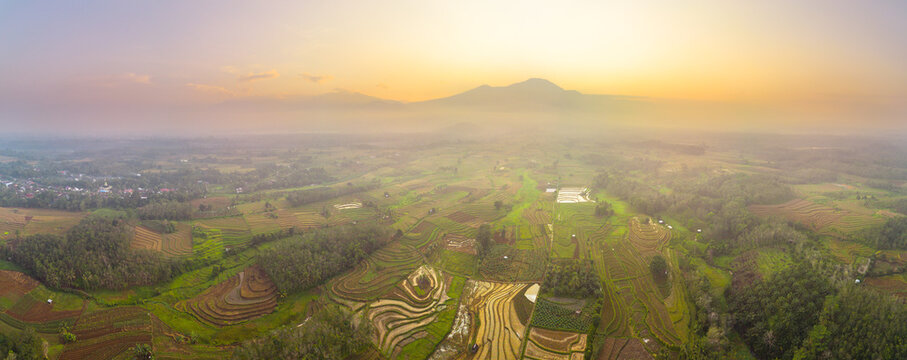 Aerial view of Kemumu rice terraces at sunrise with lush green fields and distant mountains in Arma Jaya, Bengkulu, Indonesia.