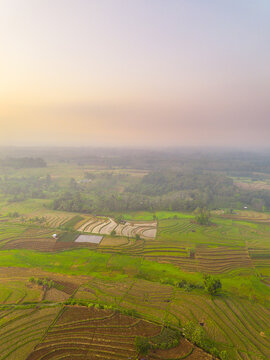 Aerial view of Kemumu terraced rice fields with lush green crops and brown soil patterns under a soft hazy sky in Arma Jaya, Bengkulu, Indonesia.
