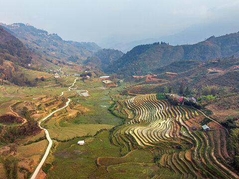 Aerial view of lush green rice terraces carved into the rolling hills with a winding dirt road leading through the valley in Vietnam.