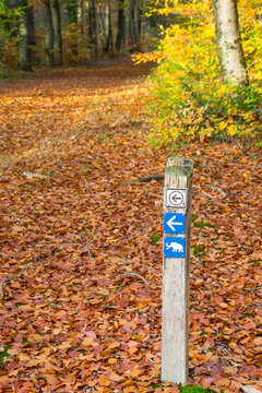 Tourist sign for the walking route in aurumn in Odoorn, Netherlands