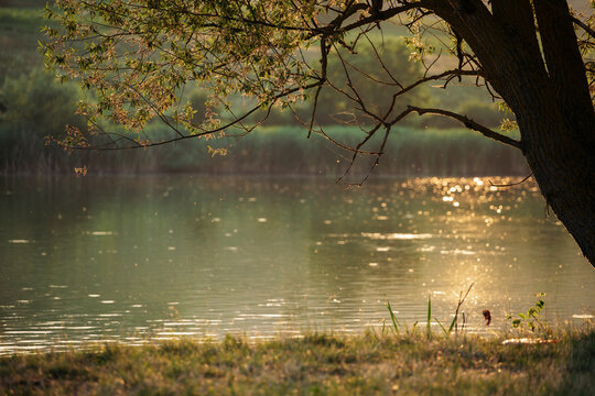 Nature landscape scenery for travel background and peaceful environment.
