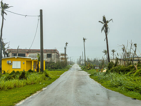 San Jose, Tinian, Northern Mariana Islands - 06 July 2026: View of the aftermath of Super Typhoon Bavi with damaged palm trees, debris, and a yellow house along a wet road.