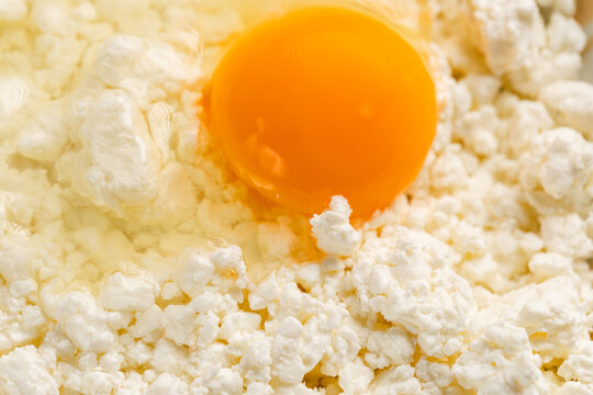 Macro close up of raw egg yolk in fresh cottage cheese background