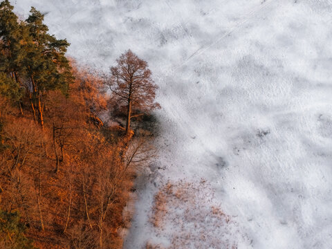 Aerial view of a snowy landscape with a line of trees bordering a frozen lake in Trakai, Vilnius County, Lithuania.