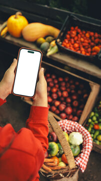 Hands holding a smartphone over a basket of fresh vegetables at a market stall