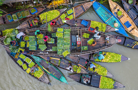 Barishal, Bangladesh - 20 August 2021: Aerial view of Vimruli floating market with farmers in wooden boats transporting piles of green guavas.