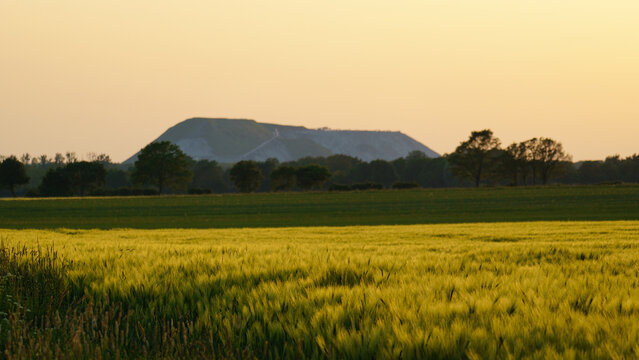 View of the potash tailings pile rising above the green barley fields during the golden hour in Wunstorf, Lower Saxony, Germany.