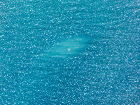 Aerial view of the deep blue waters of the Bering Sea with a patch of turquoise water near Unalaska, Alaska, United States.