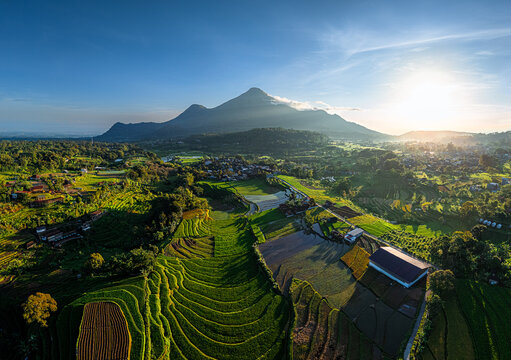 Aerial view of lush green rice terraces and rural landscape nestled at the foot of a majestic mountain during sunrise in Trawas, East Java, Indonesia.