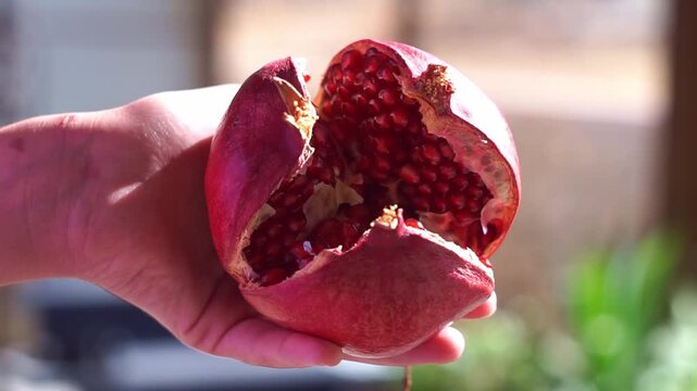 Close up of a person holding a cracked open ripe pomegranate revealing juicy red seeds, slow motion horizontal video.