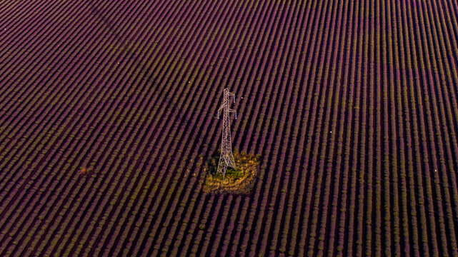 Aerial view of a power transmission tower standing in the middle of a vast purple lavender field in Valensole, Provence-Alpes-Cote d'Azur, France.